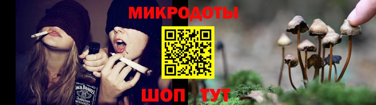 Псилоцибиновые грибы GOLDEN TEACHER Верхняя Пышма
